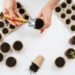 Menyemai benih tanaman