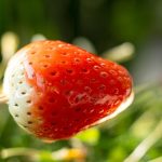 tips membuat tanghulu